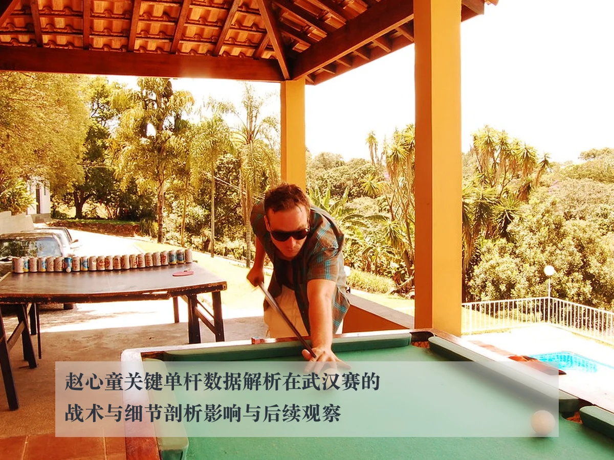 赵心童关键单杆数据解析在武汉赛的战术与细节剖析影响与后续观察